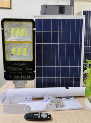 ĐÈN ĐƯỜNG NLMT NEWSTAR SL100W 