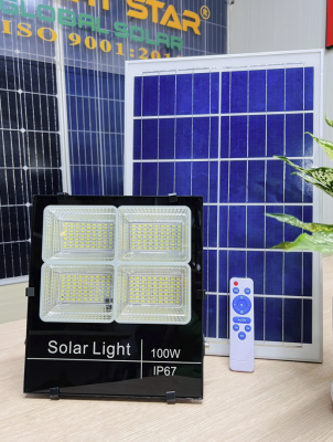 ĐÈN PHA LED NLMT 100WQ 
